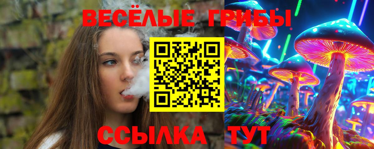 Псилоцибиновые грибы ЛСД Ковров