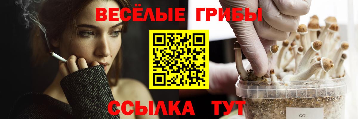 Псилоцибиновые грибы Psilocybine cubensis  Вход с VPN  Галлюциногенные грибы Magic Shrooms  Ковров 